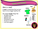 Wants and Needs - KS1/Year 2