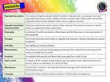 Menstrual, gynaecological, reproductive health and fertility PSHE lesson