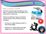 Year 4 - Harmful content and contact