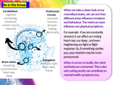 Mental Health Awareness Week 2025 Lesson