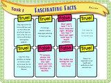Year 4 - Importance of Sleep + Sleep Hygiene