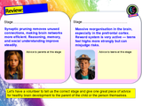 Parenting, Pregnancy + Brain Development RSHE PSHE Lesson