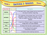 Germs, Bacteria and Viruses PSHE