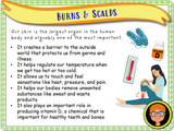 Year 3 -  First Aid  Part 1 - Burns and Scalds