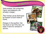 Caring for living things - KS1 - Year 1