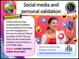 KS4 PSHE Social Media Issues Value Bundle