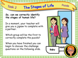 The Human Life Cycle - KS1/Year 2