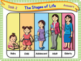 The Human Life Cycle - KS1/Year 2