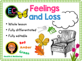 Feelings, Change, and Loss - KS1 - Year 1