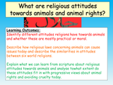Religious Attitudes Towards Animals
