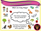 Caring for living things - KS1 - Year 1