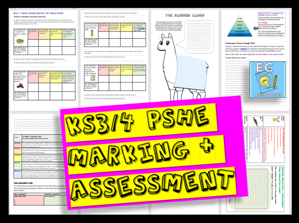 KS3 KS4 PSHE Assessment Ideas Pack