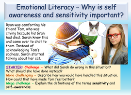 Emotional Literacy and Self-Awareness Lesson